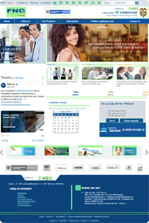 View of FNG's previous website