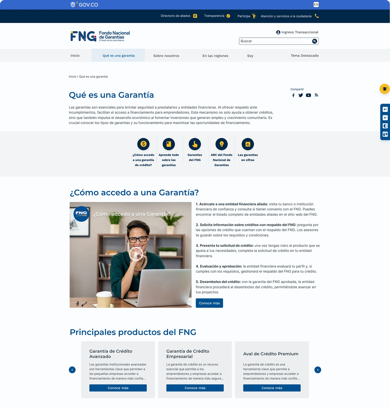 FNG's new institutional web page, view 2