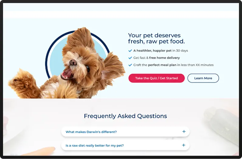 Preview of the Pet Food E-commerce project